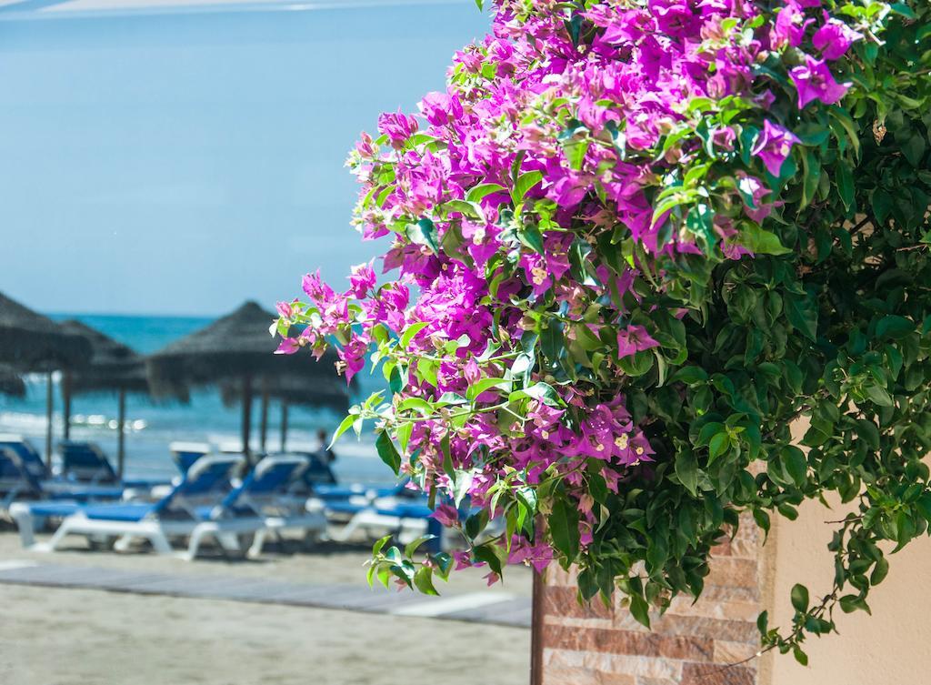 Bed & Breakfast Sunny Dom Boutique Marbella