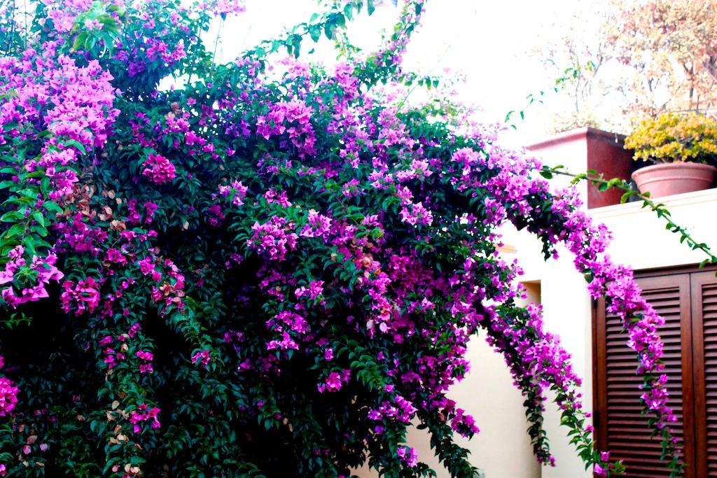 Bed & Breakfast Sunny Dom Boutique *