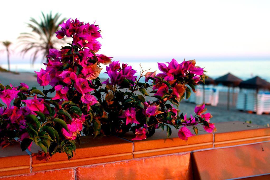 Bed & Breakfast Sunny Dom Boutique Marbella
